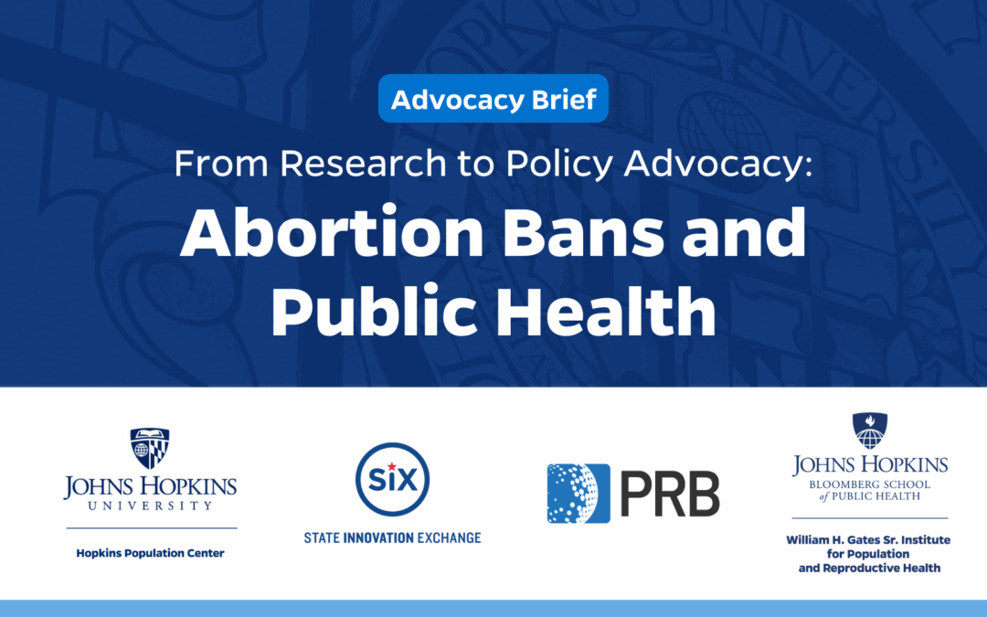 New Resource: Abortion Bans and Public Health Policy Brief