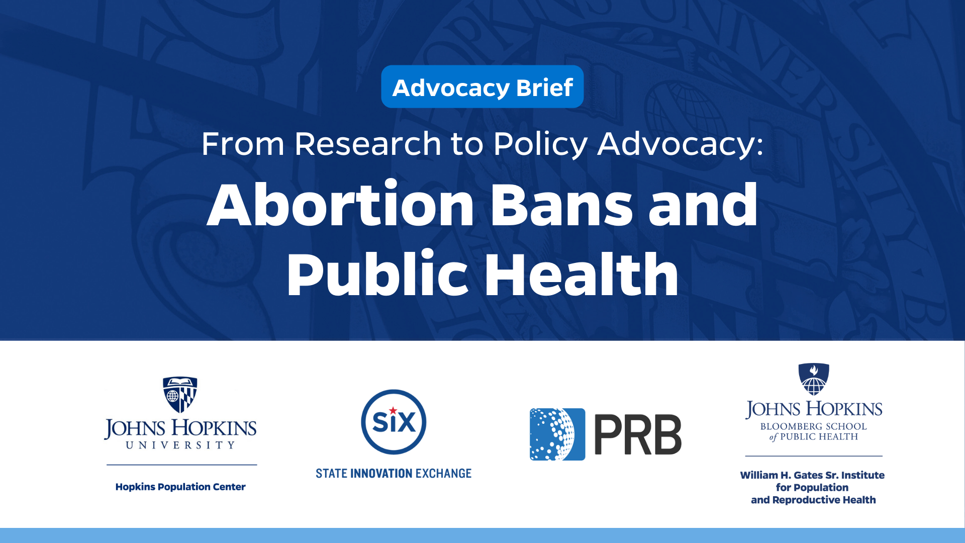 New Resource: Abortion Bans and Public Health Policy Brief